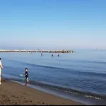 Bambu, Conjunto Playa Del Palo