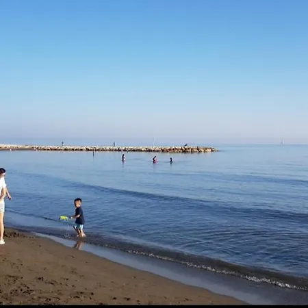El Bambu Cerca Del Mar